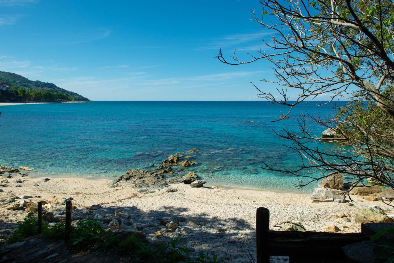 Pelion Bnb Luxury Homes 다무하리 외부 사진